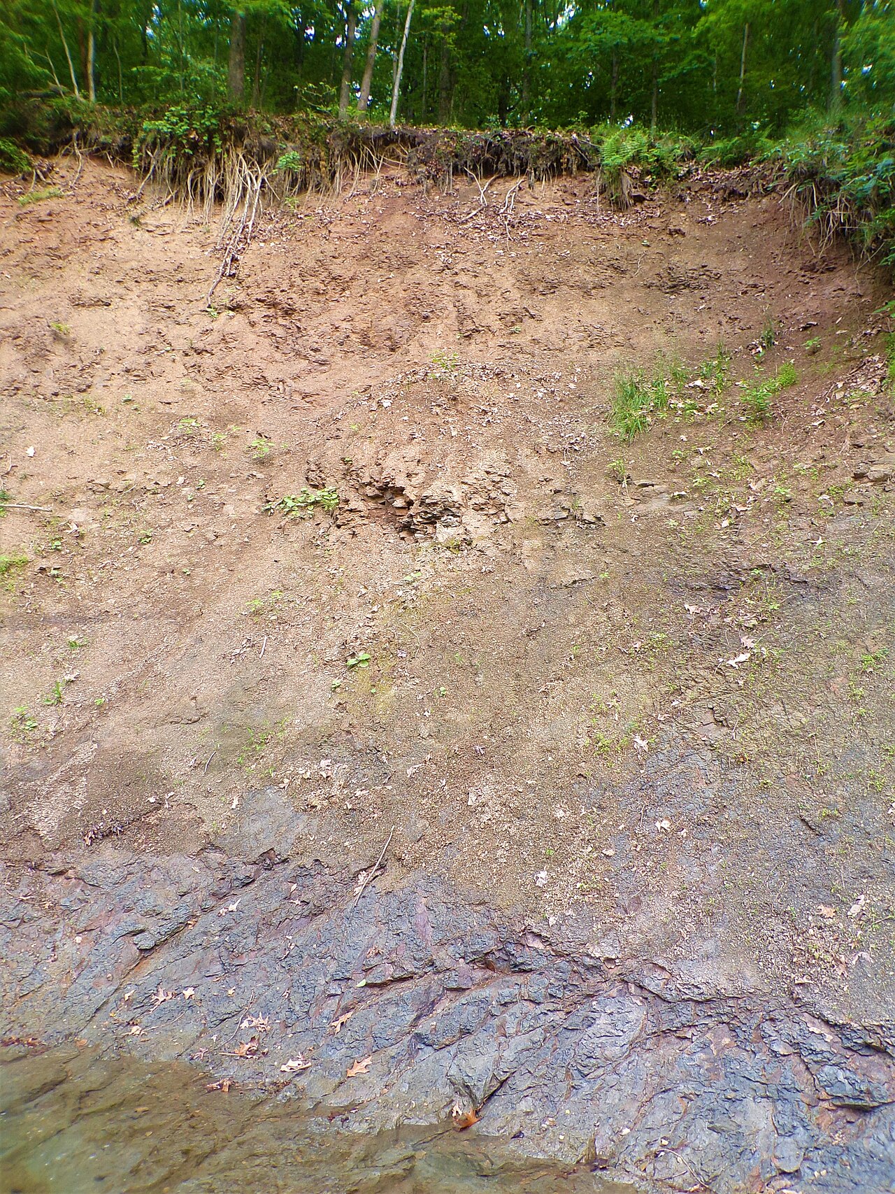 Soil profile with visible layers of silt, loam, and clay
