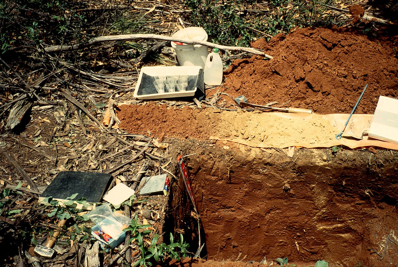 Excavated soil samples and field equipment for sampling