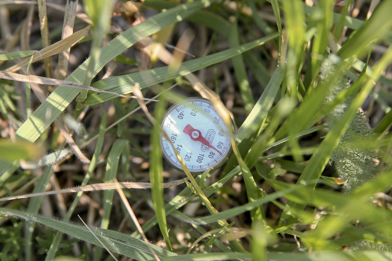 soil thermometer in grass