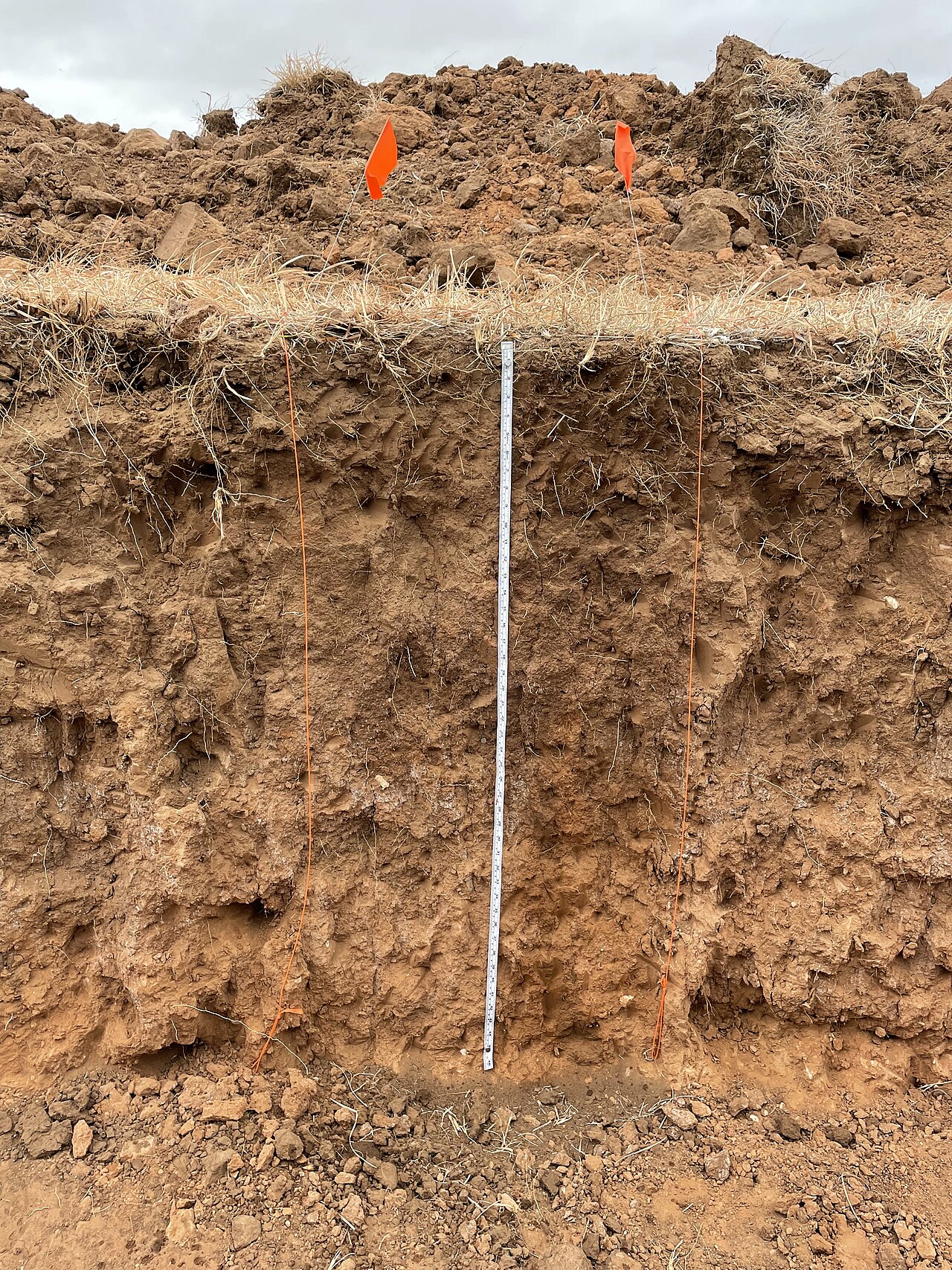 Soil profile pit showing horizons to a depth of about one meter