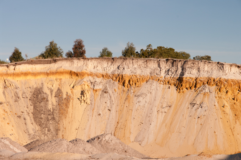 Soil profile with visible horizons by depth