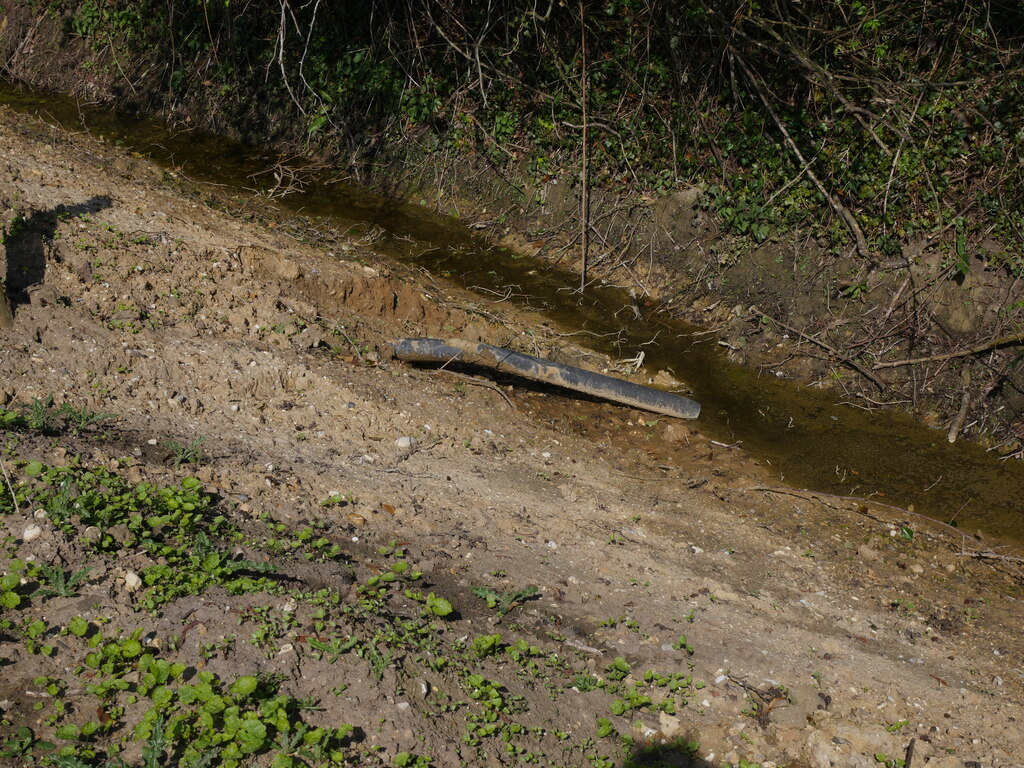Outlet of a field drainage pipe draining excess water from agricultural land