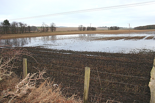 Waterlogged field with retained surface water after heavy rainfall
