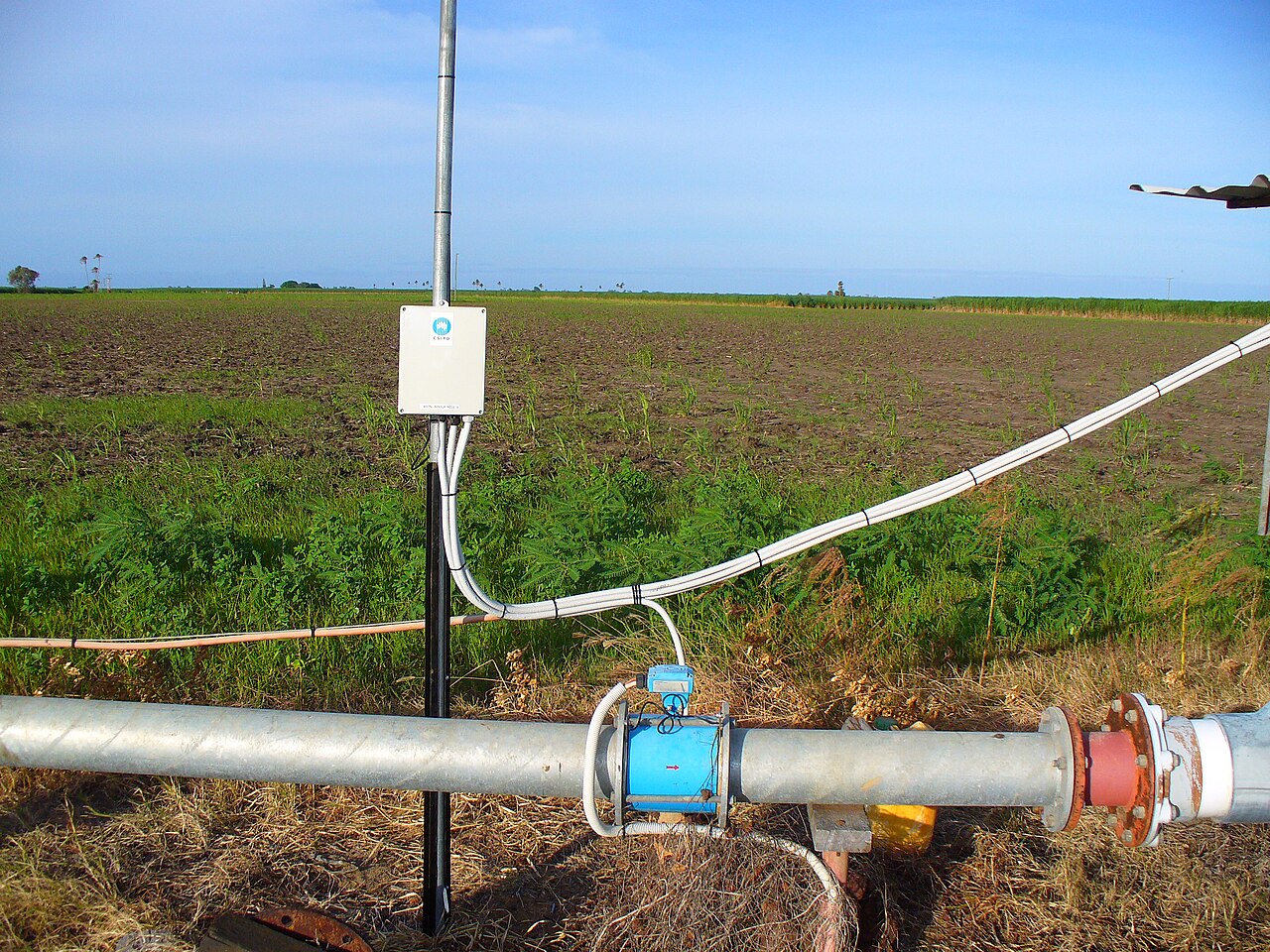 irrigation pipe and sensor in field