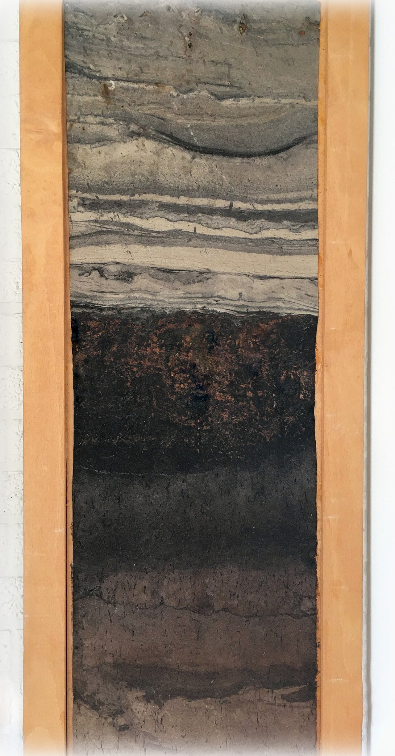 Soil profile with visible layers (horizons), excavated in a soil pit