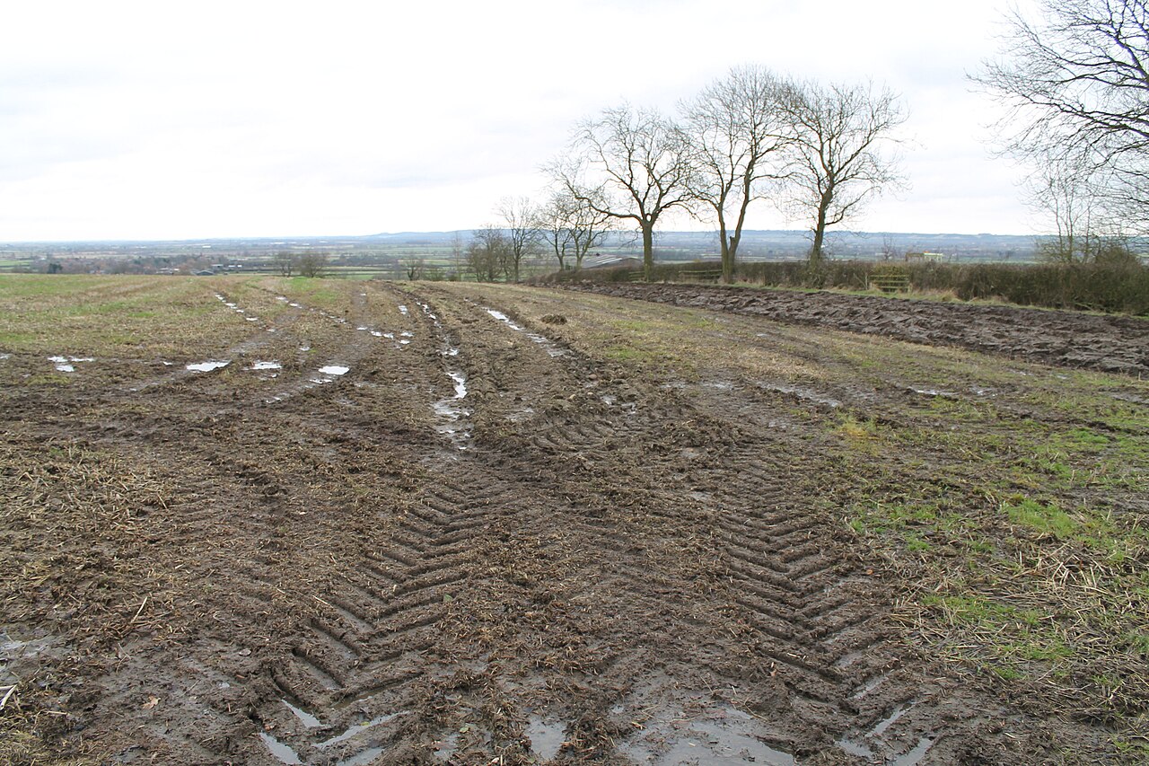 Saturated, waterlogged plot — water stands in tire tracks after rain, a sign of poor drainage