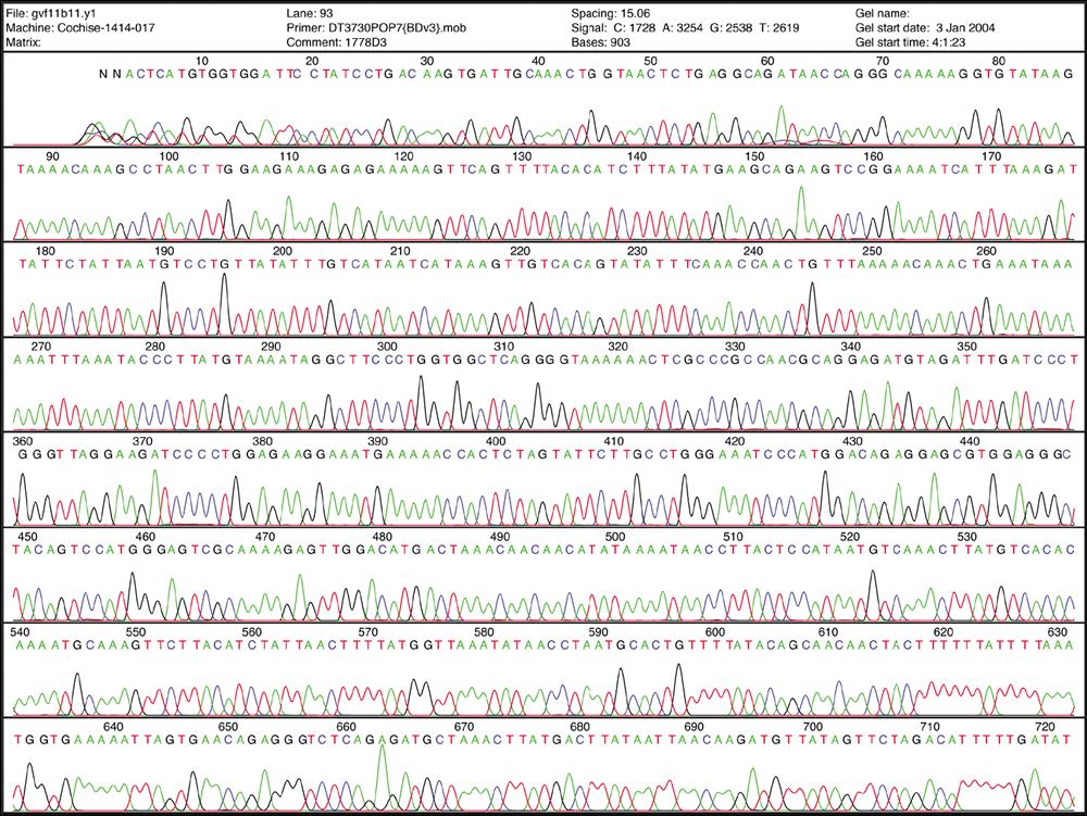 DNA sequencing interferogram — reading of nucleotide sequences