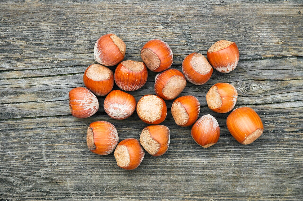 scattered hazelnuts on wood