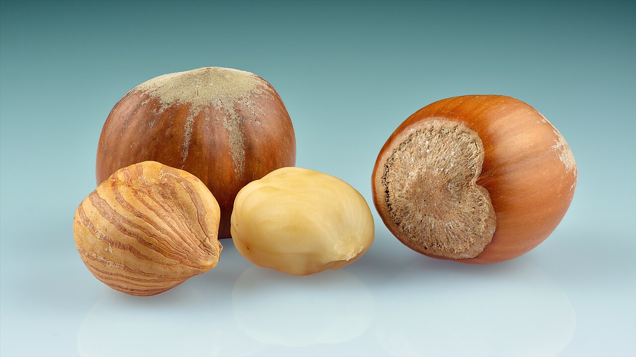 Hazelnut fruits in shell and peeled kernels