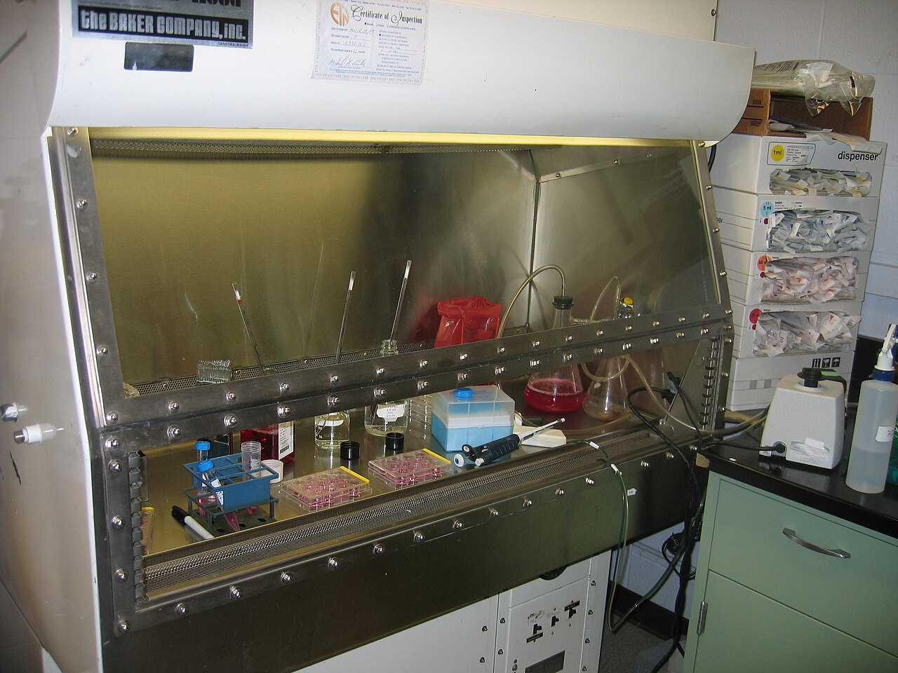 Laminar flow hood for work in sterile tissue culture conditions