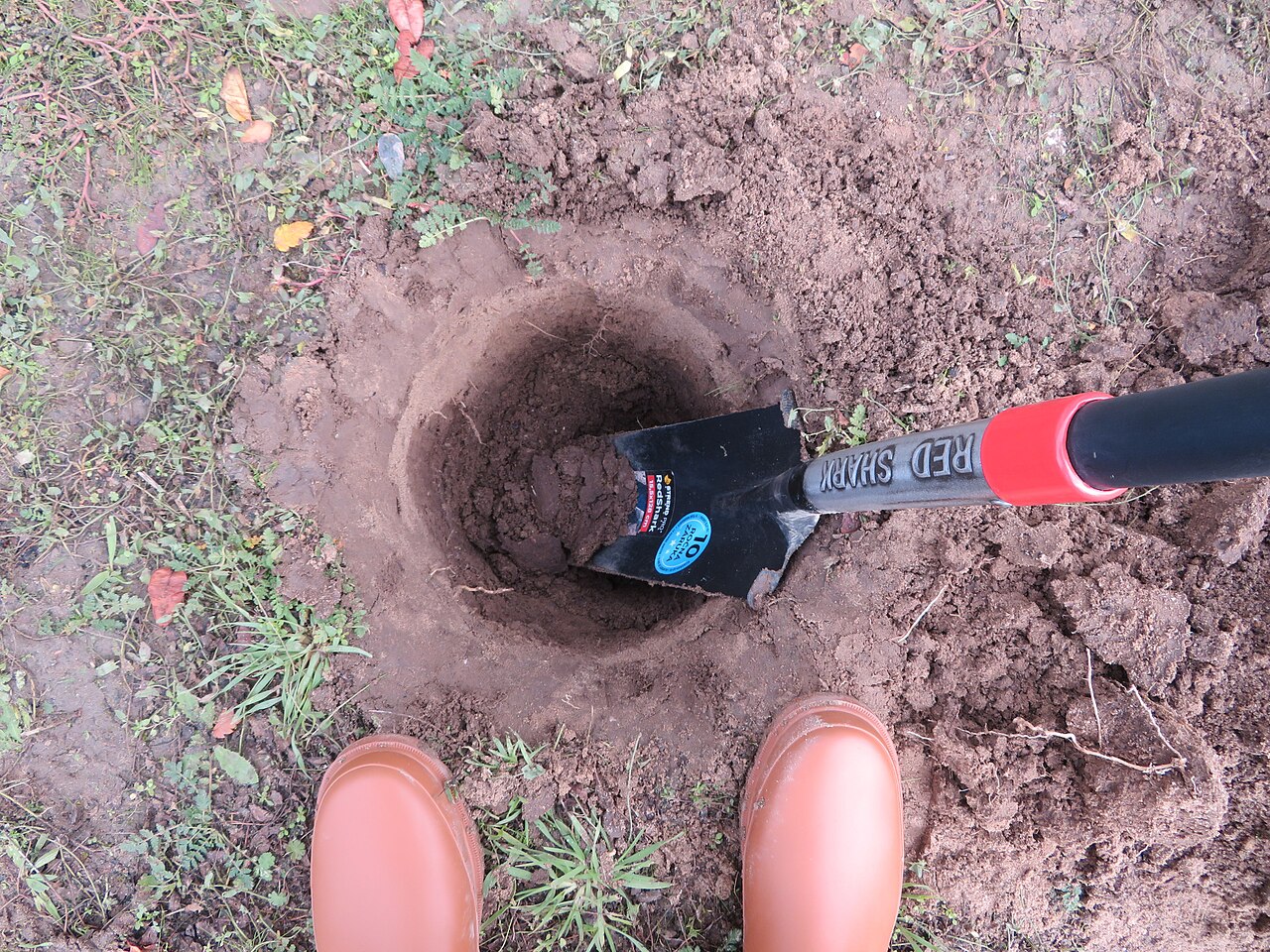 Excavated planting hole with soil drainage