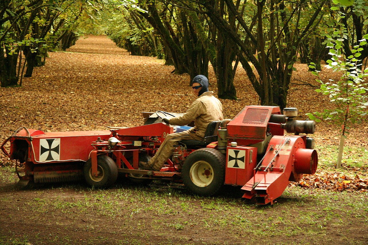 Self-propelled collector (harvester) for mechanical hazelnut harvest