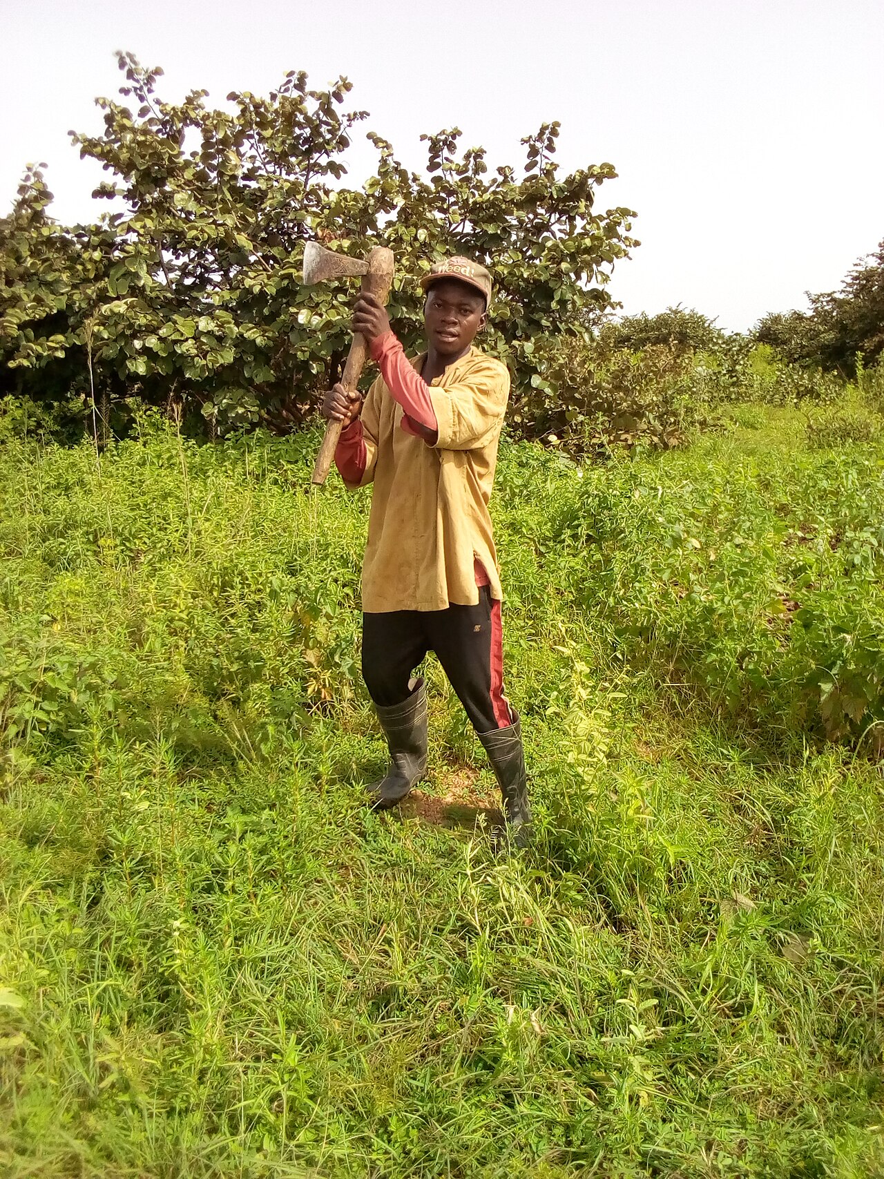 Worker with tool (axe) in the orchard