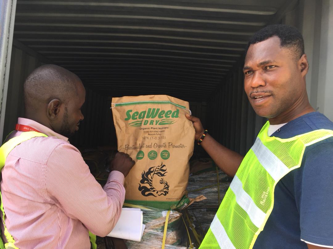 Workers handling organic plant nutrient bag
