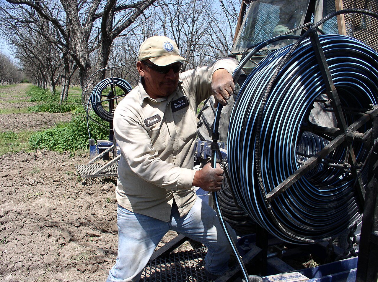 Drip irrigation (fertigation) system in the orchard, method of applying soil activators and biostimulators via roots