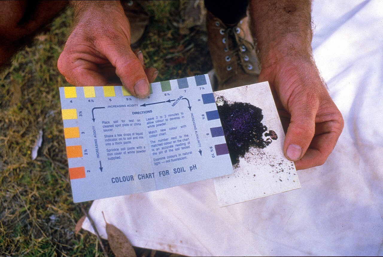 Determining soil pH — low pH drastically reduces nitrogen and potassium uptake