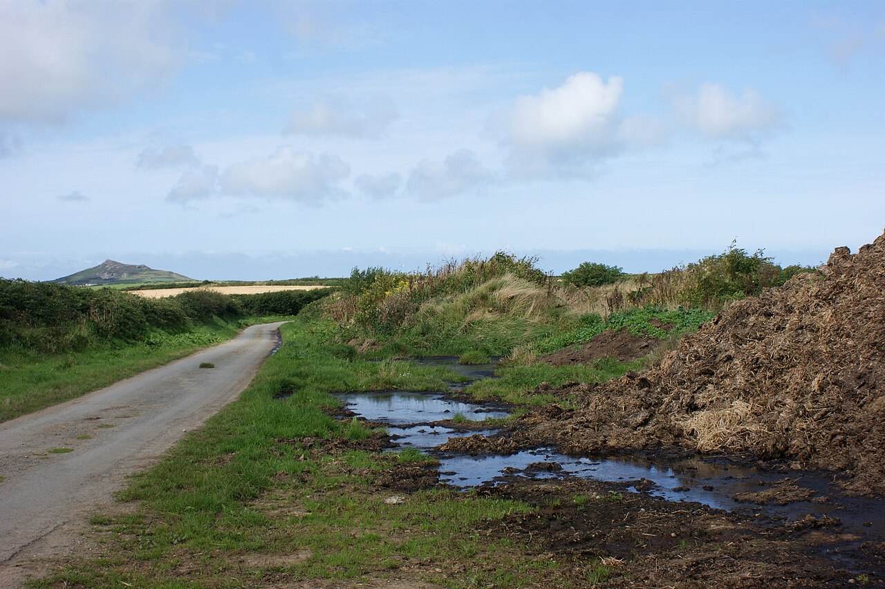 A pile of farmyard manure next to a farmstead