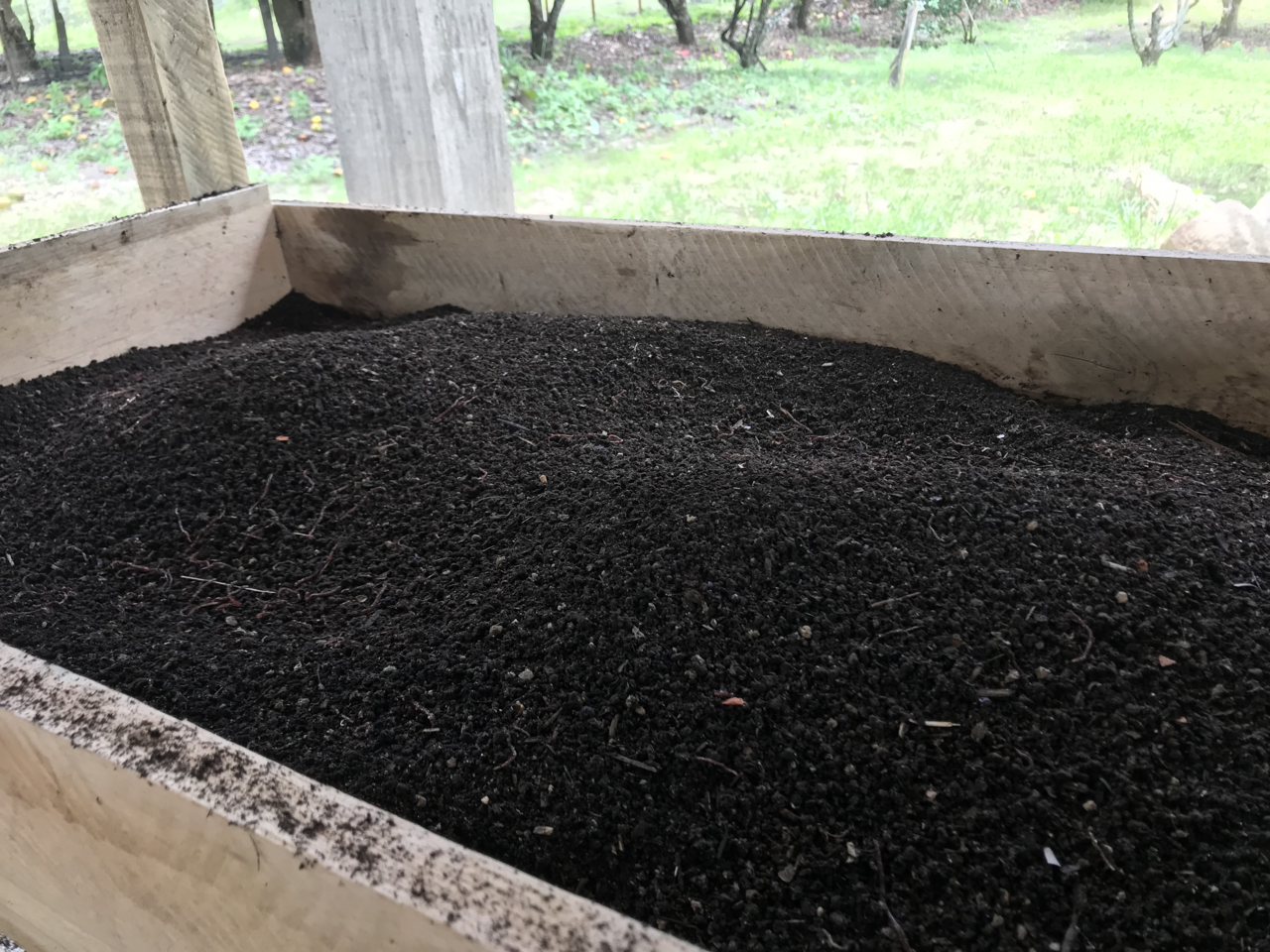 Sifted vermicompost (worm castings)