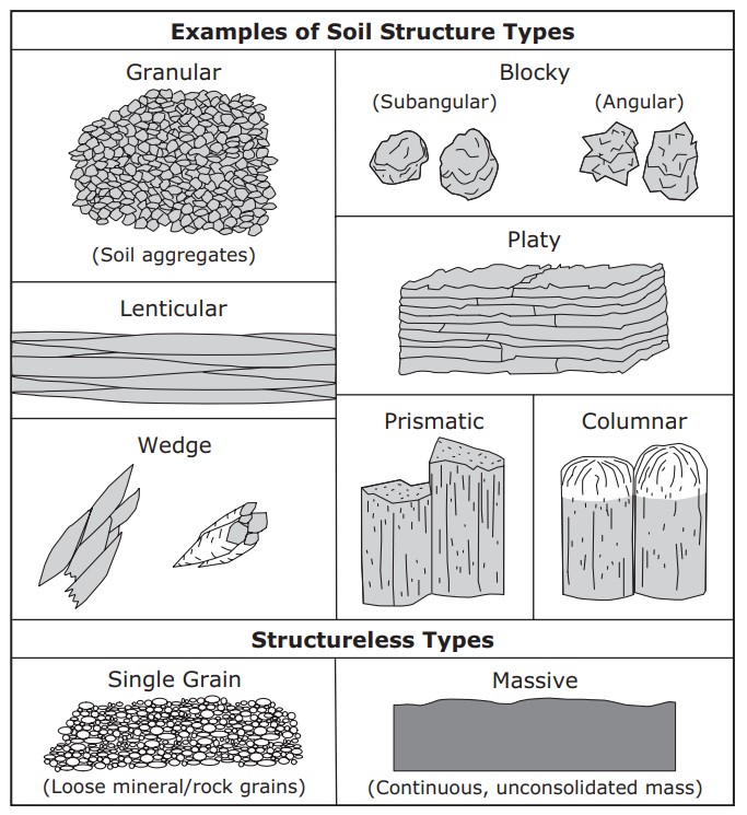 Soil structure types — soil structure affects nutrient availability and reaction (pH)