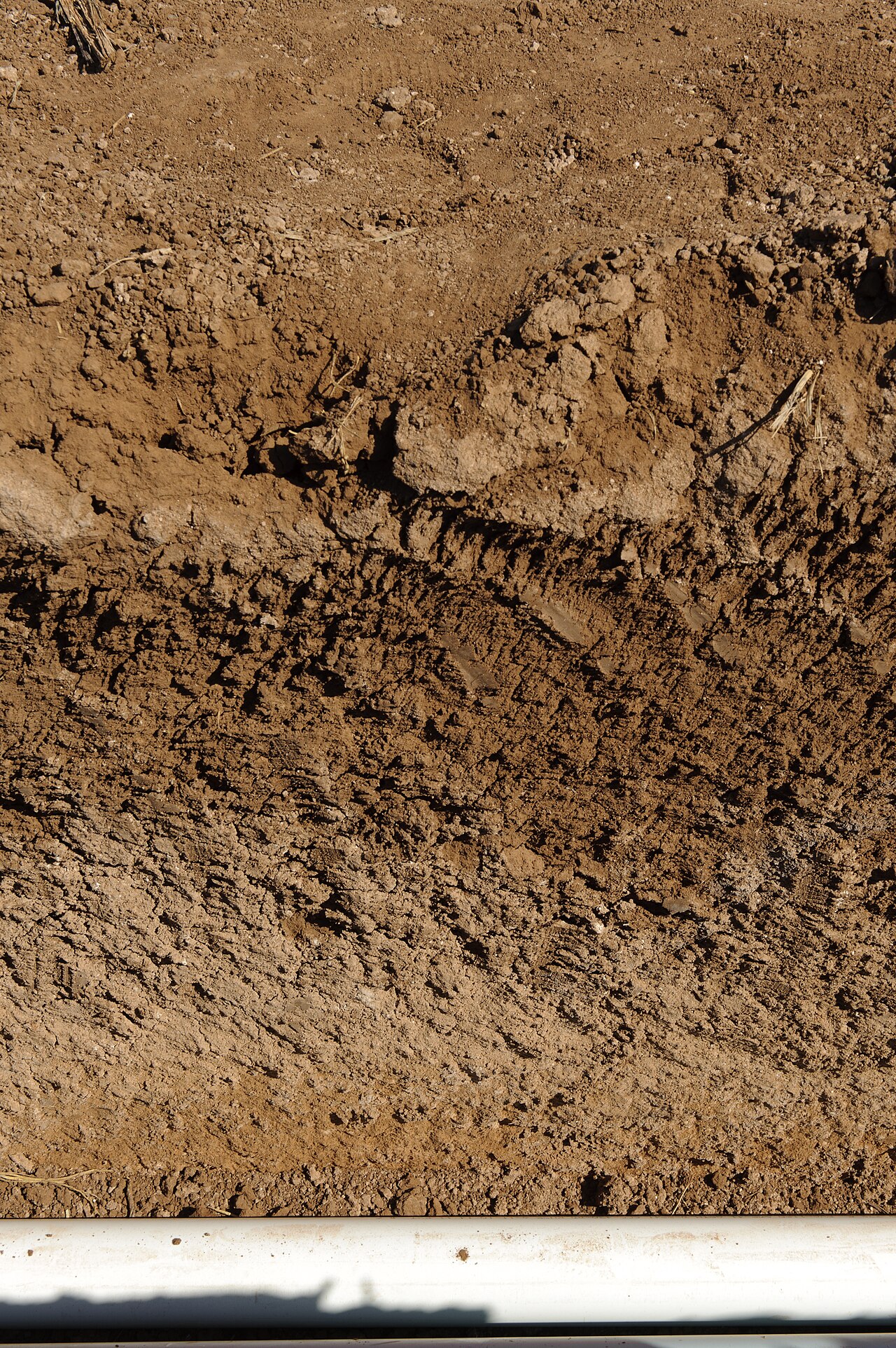 Installation of a subsurface drip irrigation system