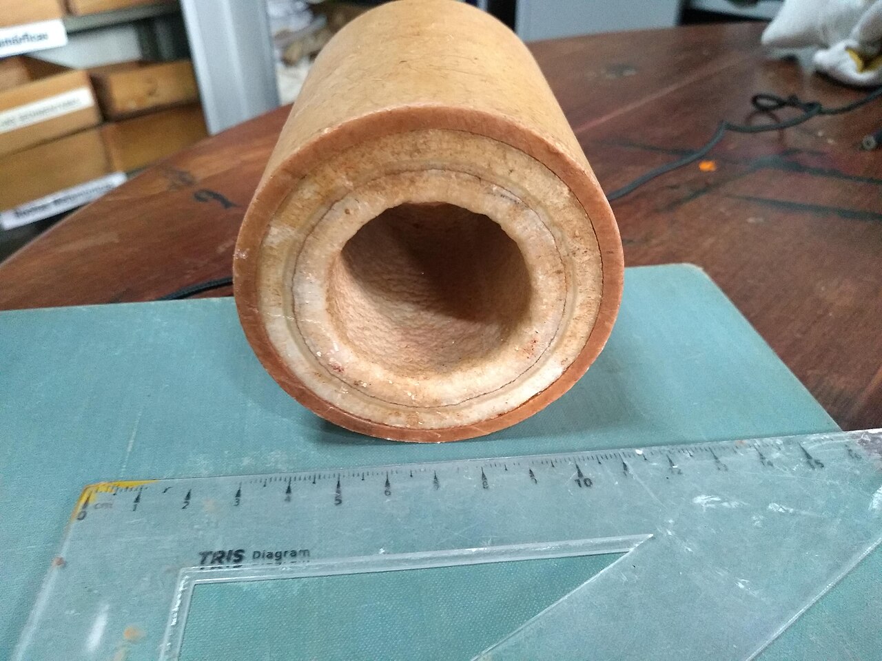 Soil sample (core) with salinity incrustation, taken in the laboratory