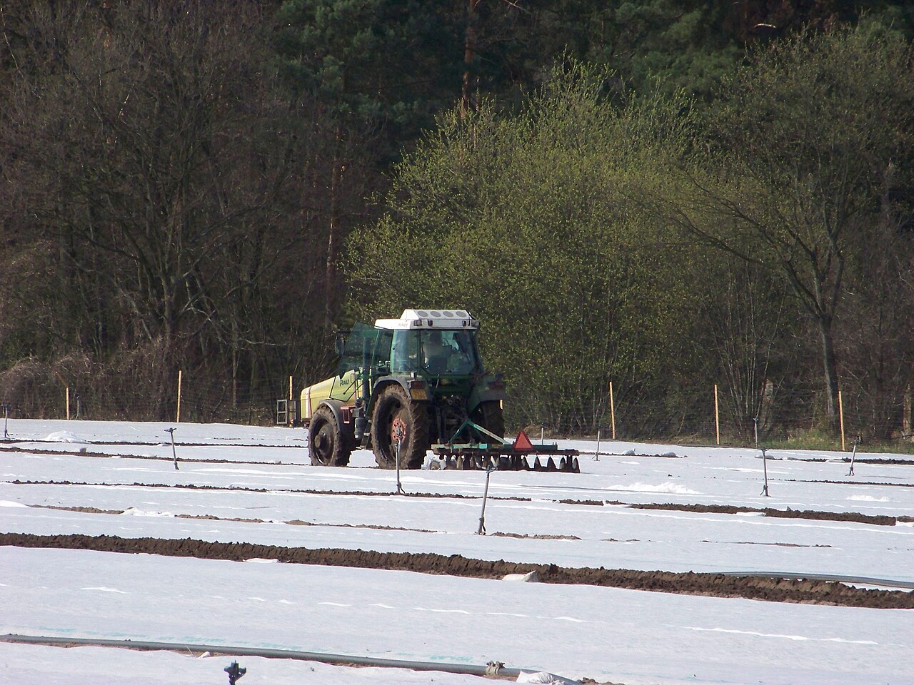 Tractor with roller compacting and leveling the soil surface in a field