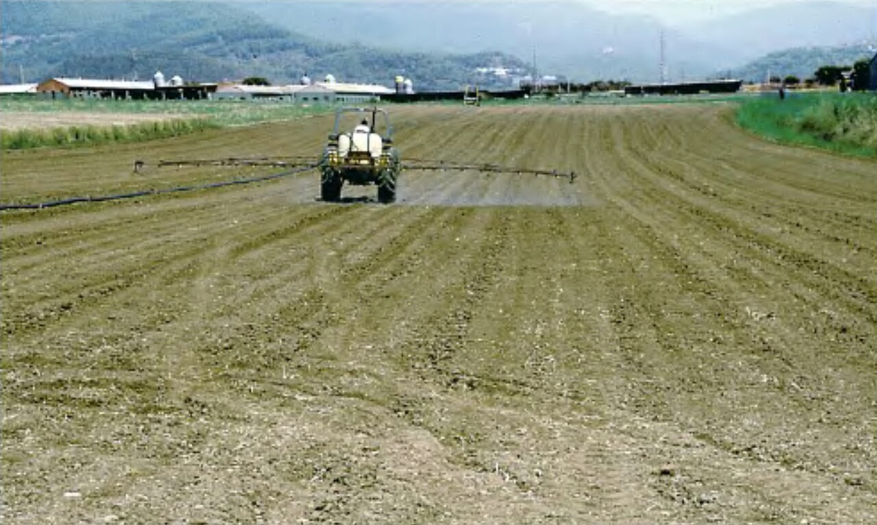 tractor spraying hazelnut field