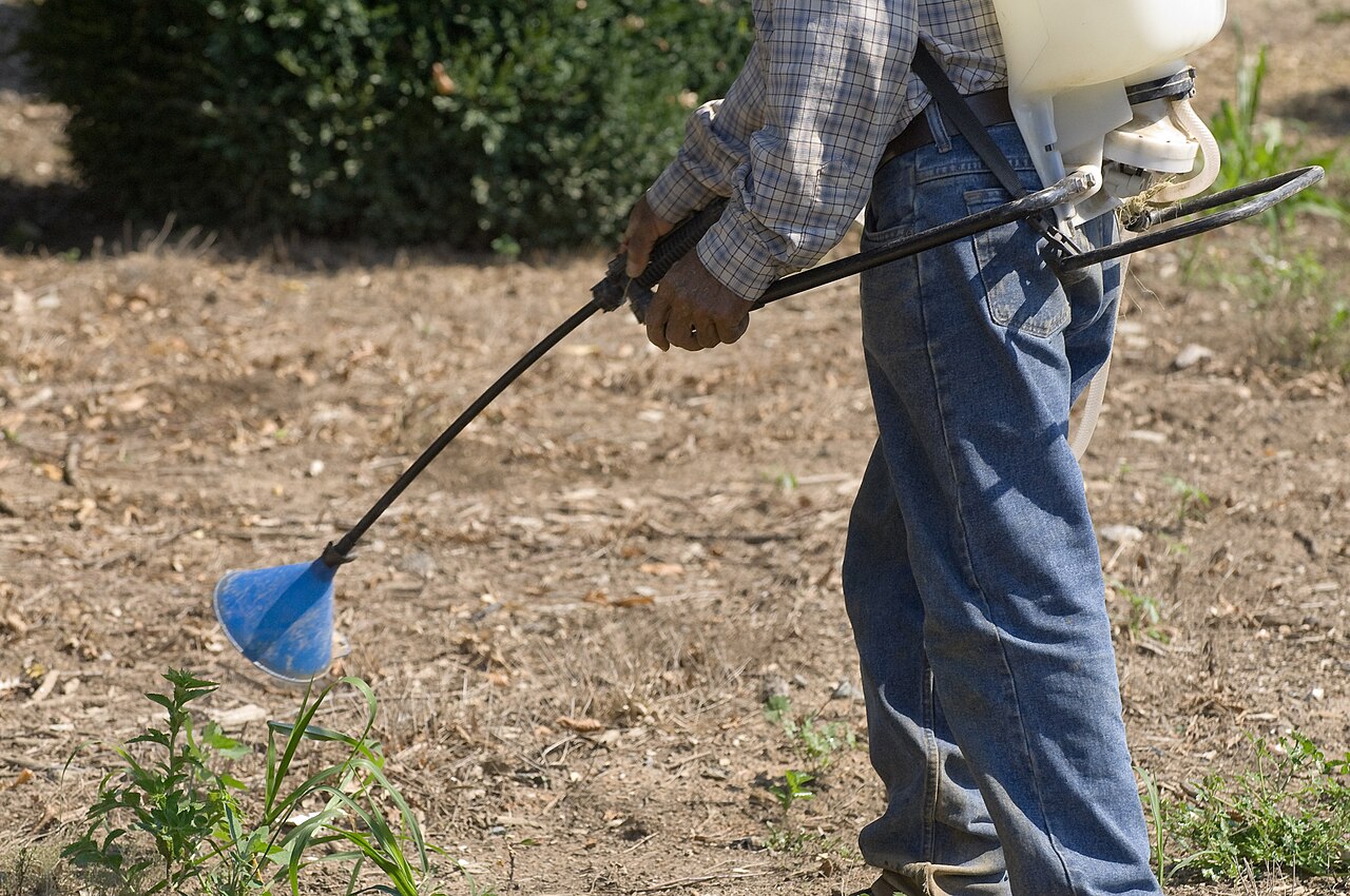 Farmer spraying crops with backpack sprayer
