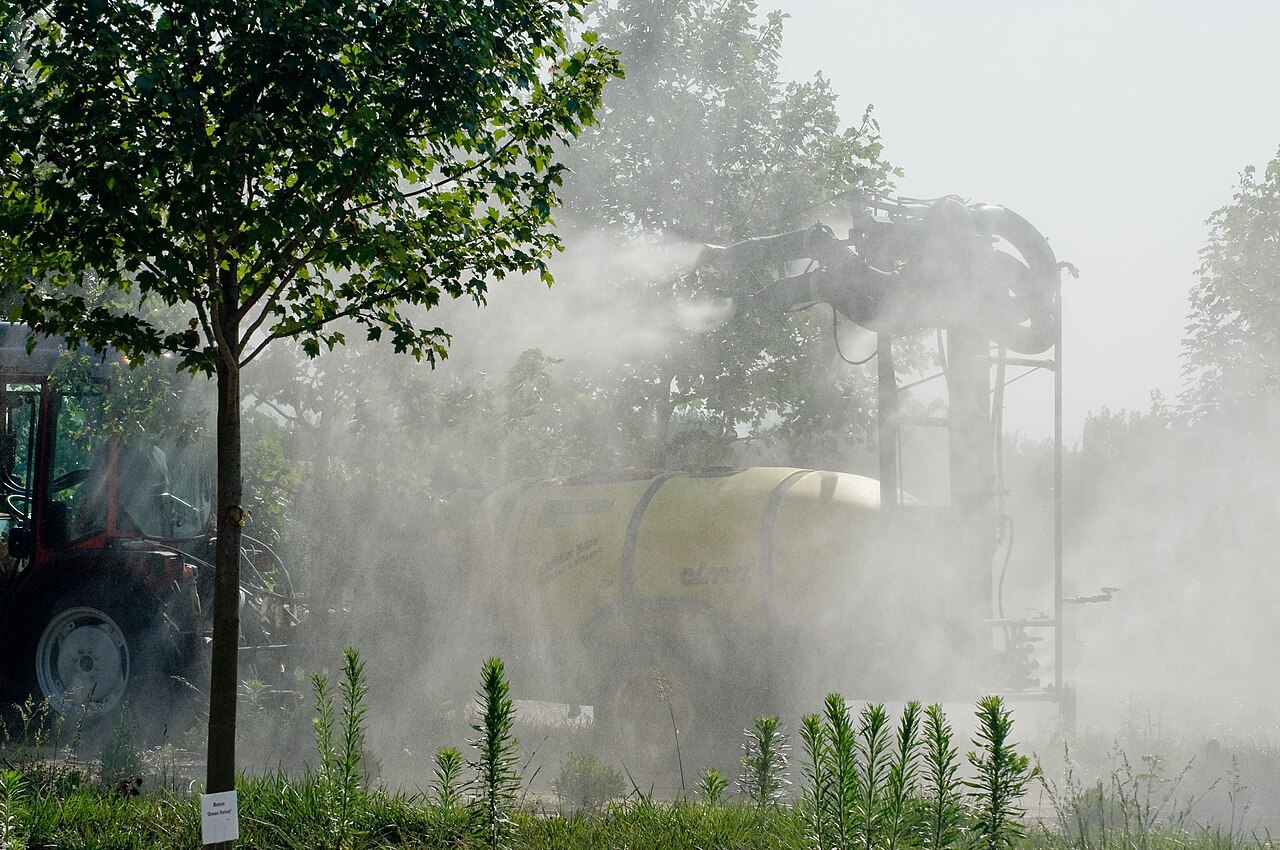 spraying hazelnut trees with tractor