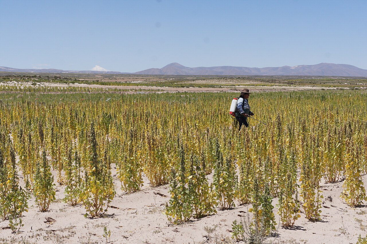 Operator with a backpack sprayer applying plant protection product in a field