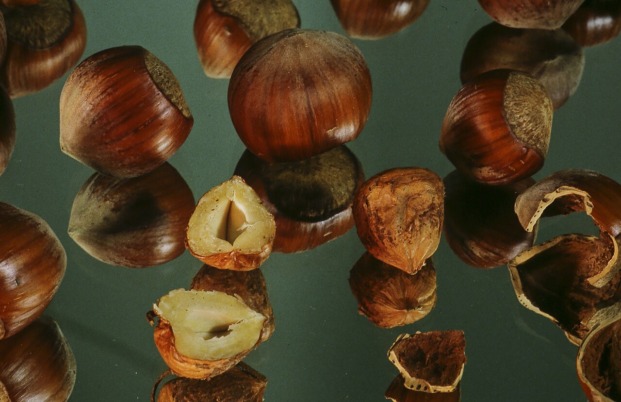 Whole and cracked hazelnuts