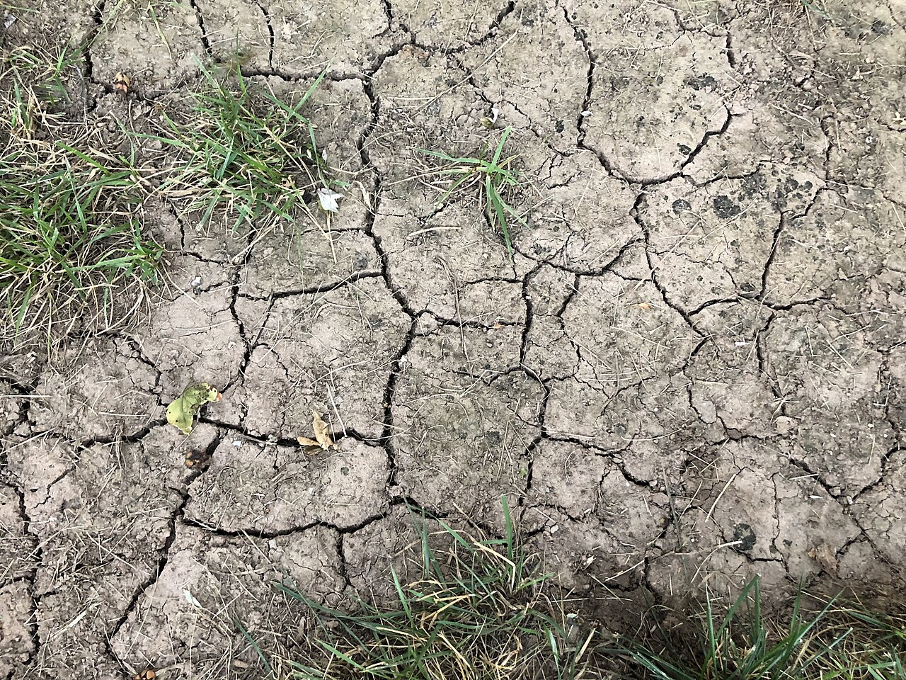 Dry, cracked soil after a prolonged drought episode
