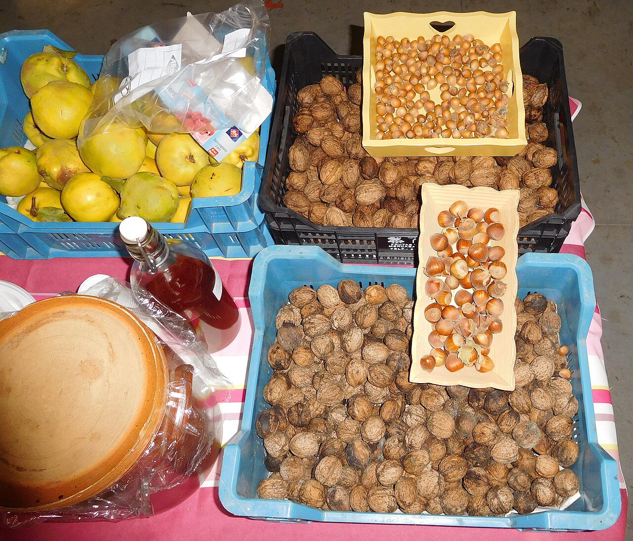 Hazelnuts spread in a thin layer for drying