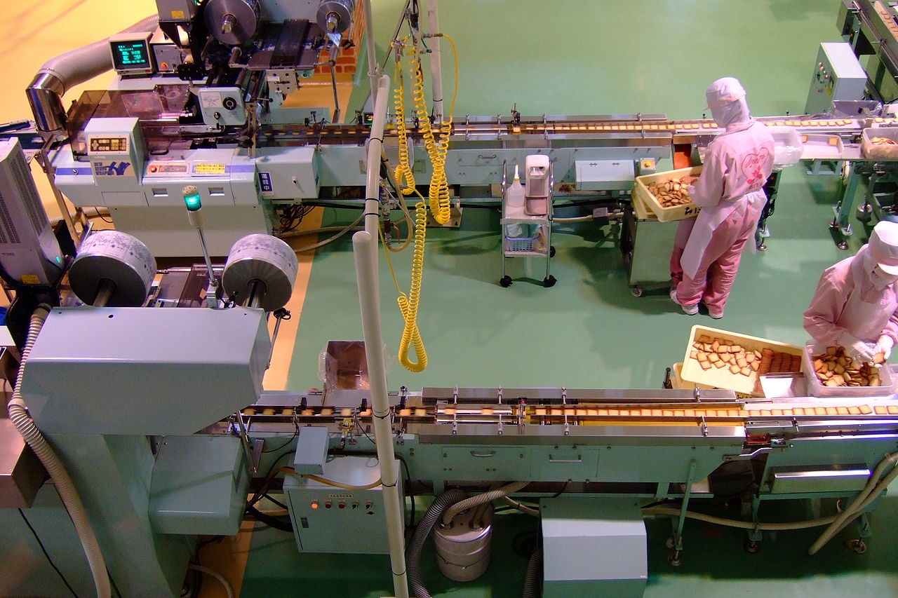 Industrial hazelnut processing facility