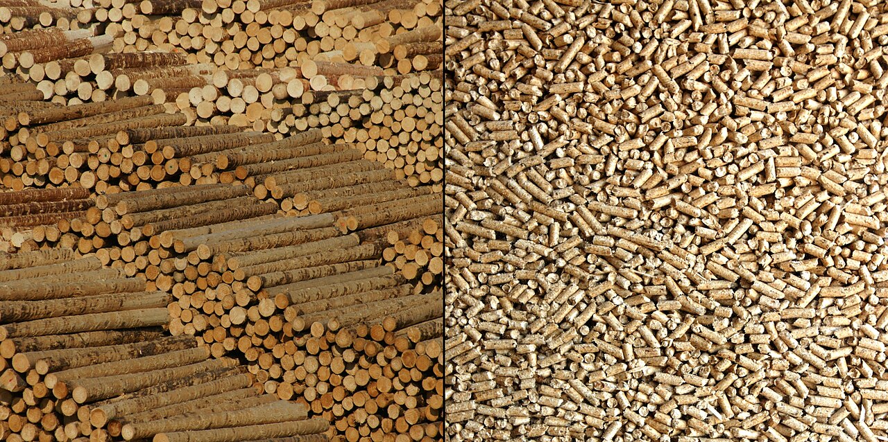 Wood pellets — densified fuel; shell is pelleted as an admixture to other biomass