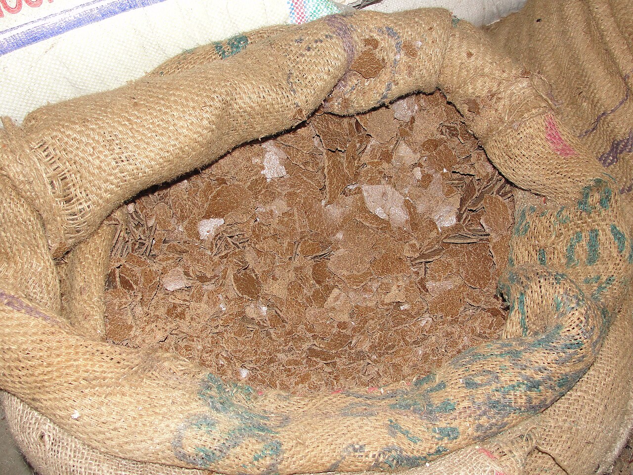 Oil press cake after pressing — solid residue rich in proteins