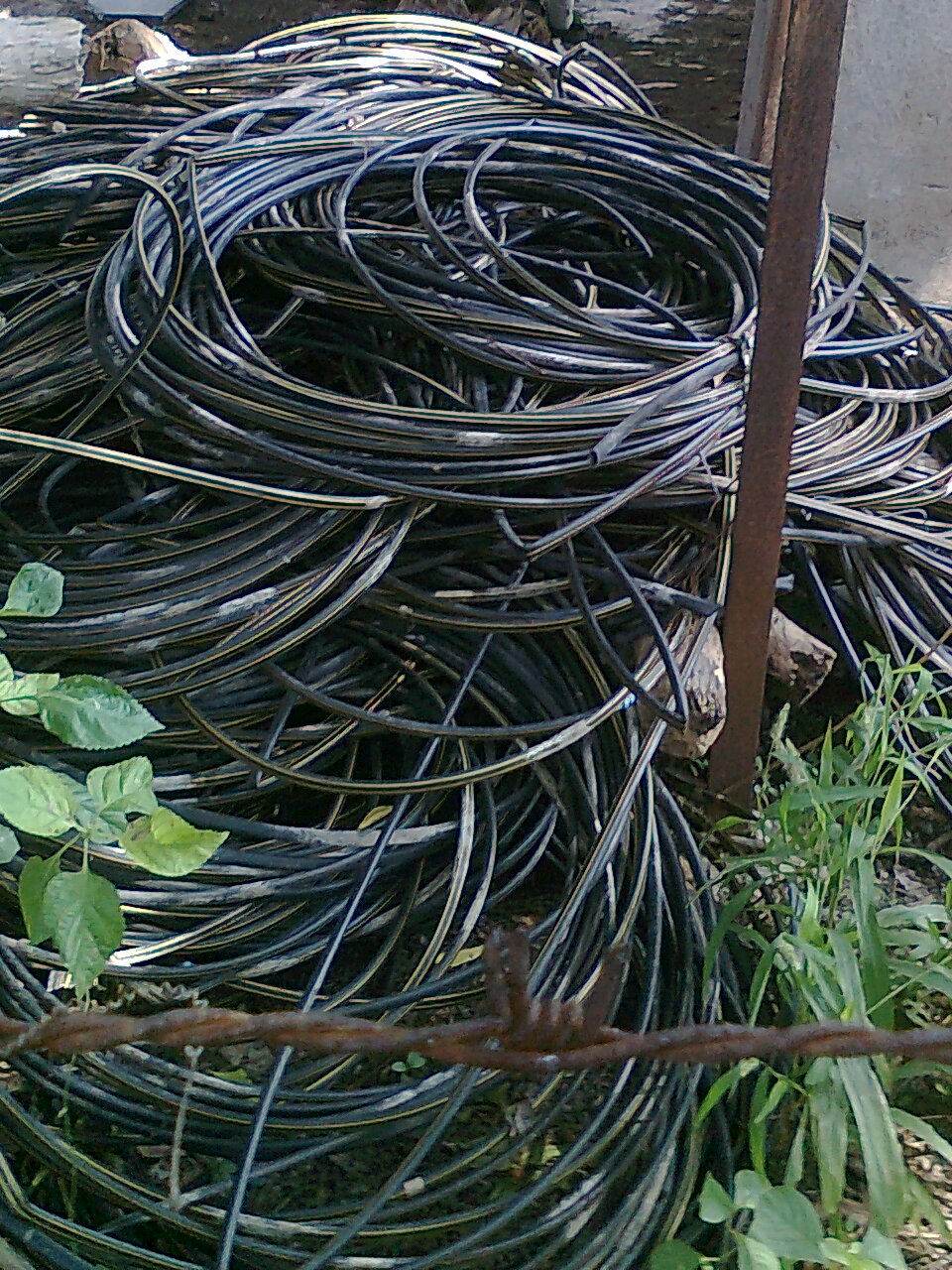 Coiled drip pipes (laterals) for drip irrigation
