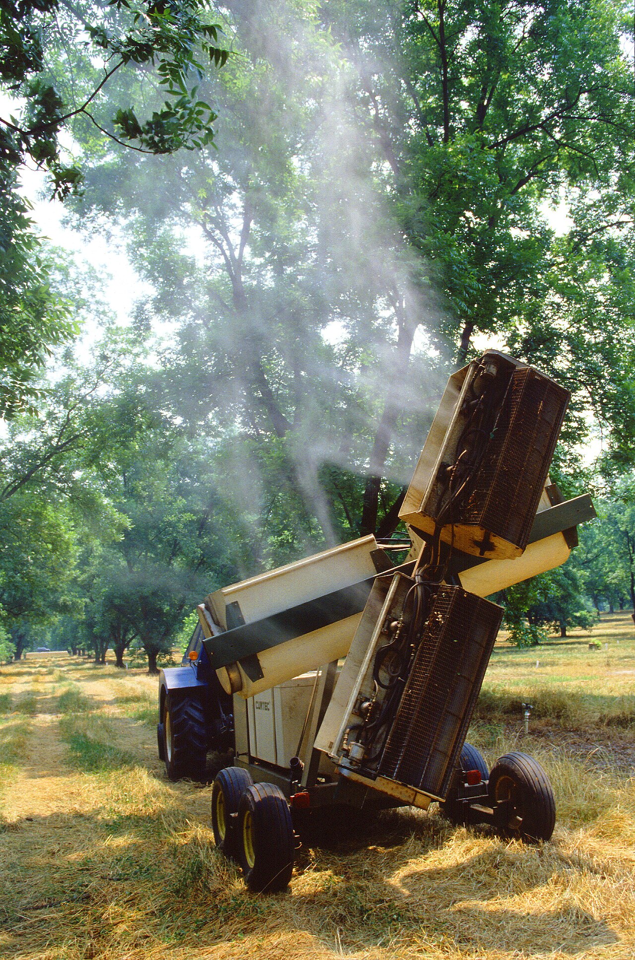 tractor spraying hazelnut orchard