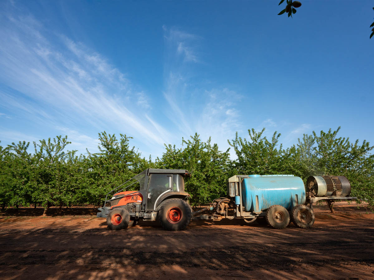 Orchard tractor with attached atomizer in the orchard, an example of mechanization purchased via credit or leasing