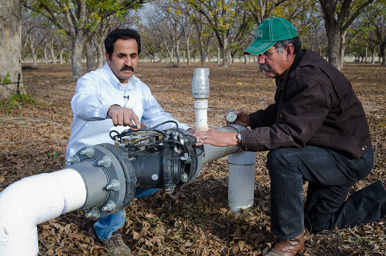 Installation of pipes and valves for the irrigation system in a nut orchard