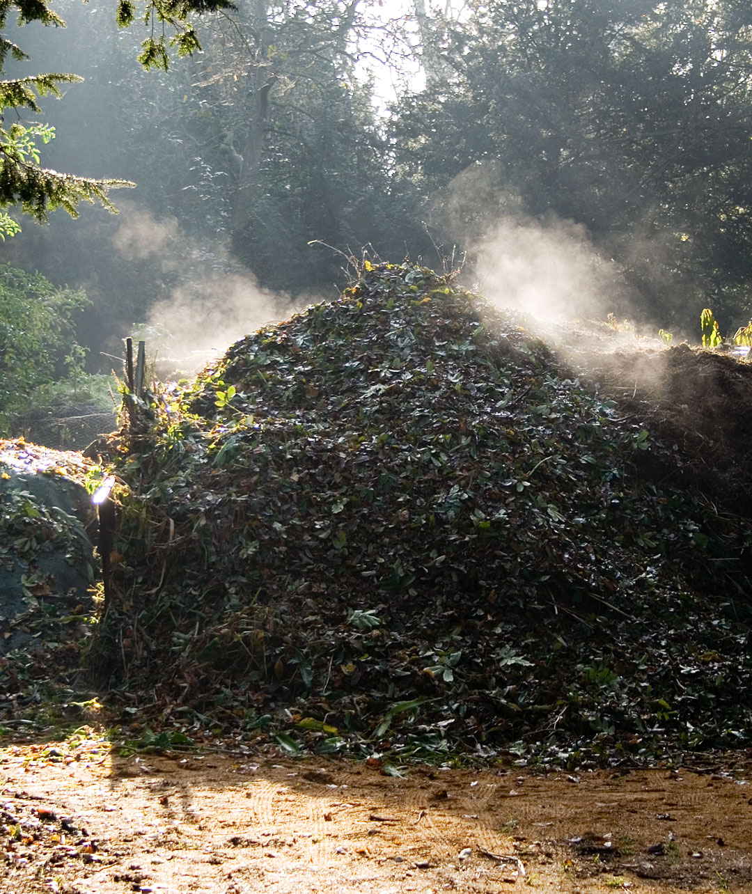 Compost — organic fertilizer for maintaining soil fertility in organic cultivation